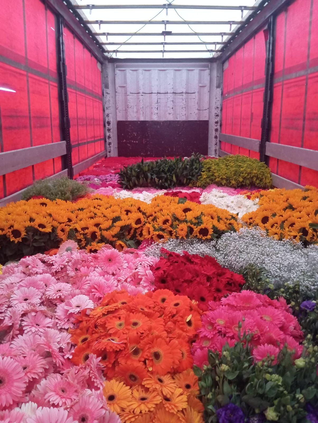 Assorted cut flowers loaded in the delivery truck