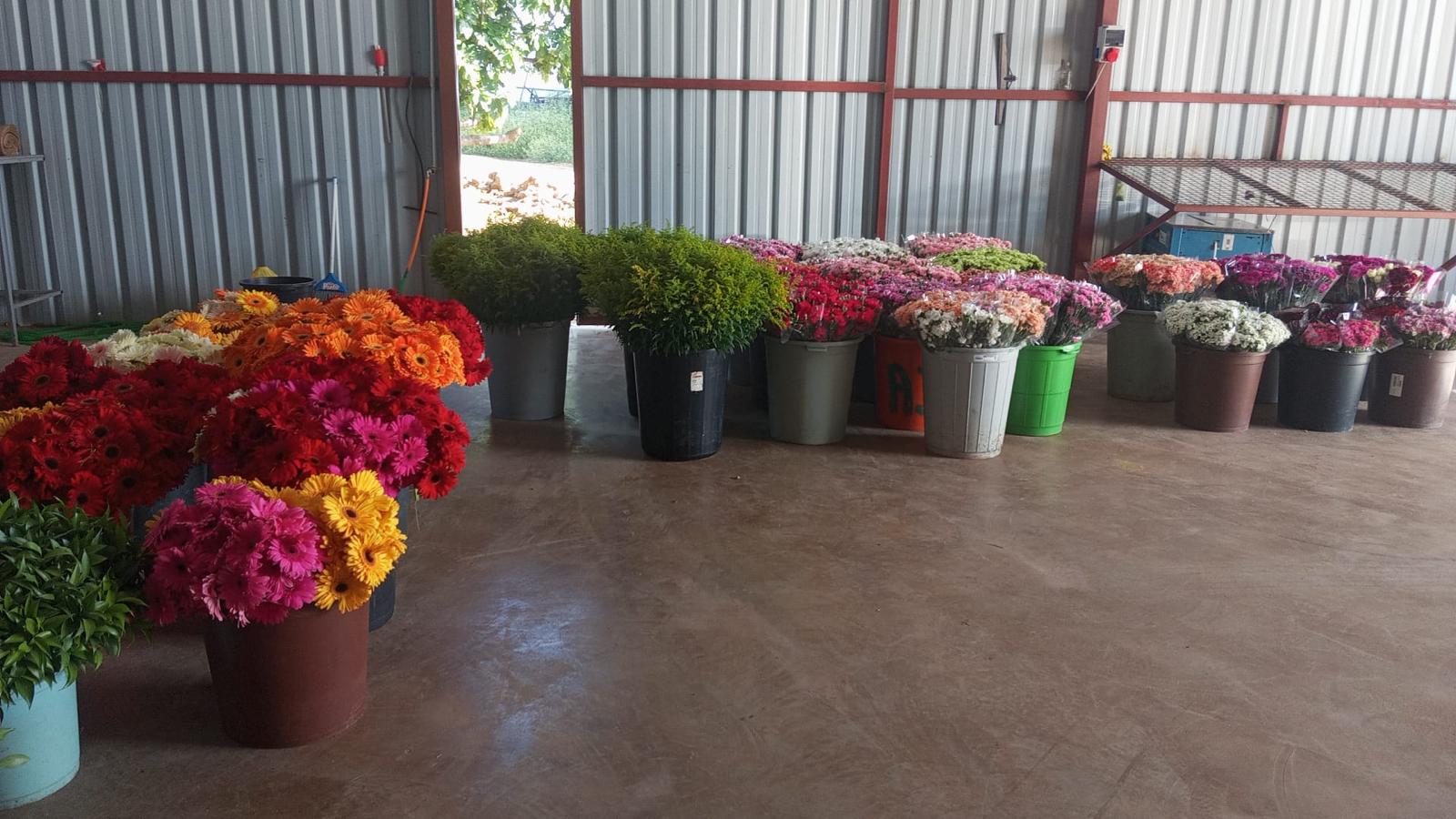 Assorted cut flowers displayed in SERSİS multipurpose plastic containers of different colors