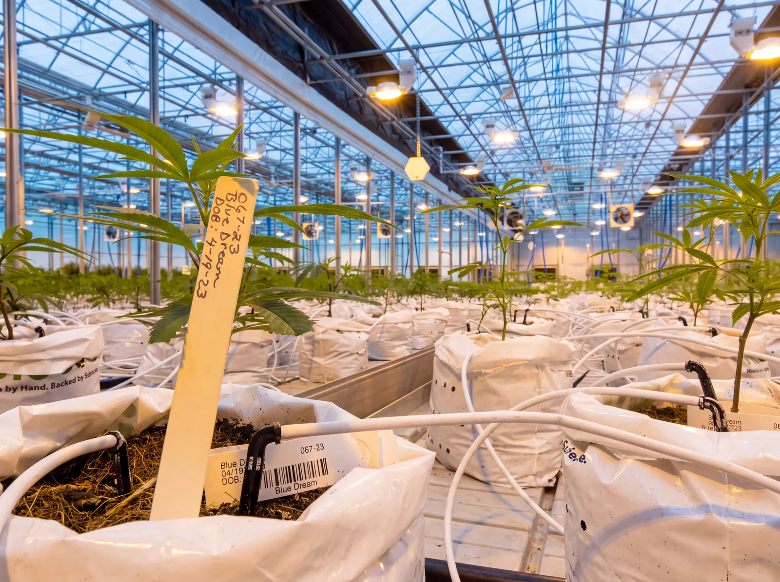 Sersis Modern Greenhouse Systems
